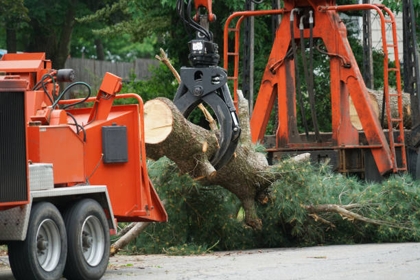 Mulching Services in Oostburg, WI